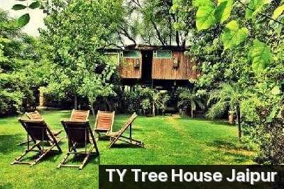 Tree House Photo