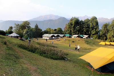 Magpie Jungle Camp Photo