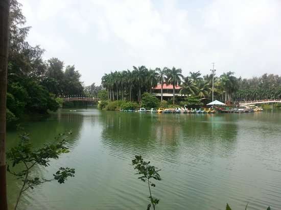 Mirasol Lake Garden Photo 3